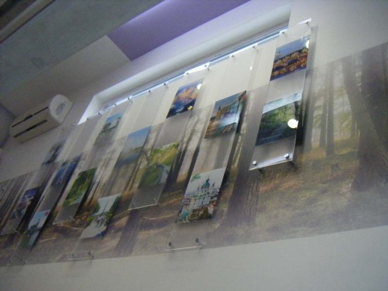 Интерьер: Оформление интерьеров